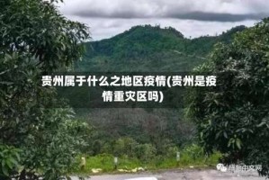 贵州属于什么之地区疫情(贵州是疫情重灾区吗)