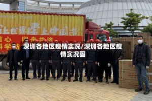 深圳各地区疫情实况/深圳各地区疫情实况图