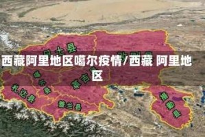 西藏阿里地区噶尔疫情/西藏 阿里地区