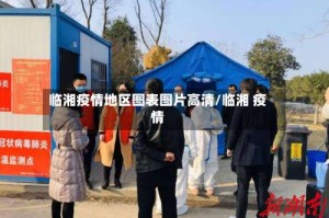 临湘疫情地区图表图片高清/临湘 疫情