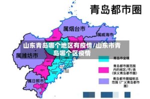 山东青岛哪个地区有疫情/山东市青岛哪个区疫情