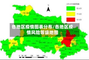 各地区疫情图表分布/各地区疫情风险等级地图
