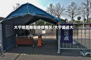 大宁地区新冠疫情情况/大宁最近大事