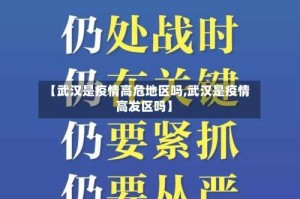 【武汉是疫情高危地区吗,武汉是疫情高发区吗】