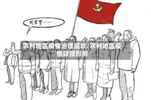 农村地区疫情治理现状/农村地区疫情防控形势