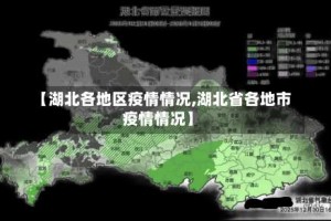 【湖北各地区疫情情况,湖北省各地市疫情情况】