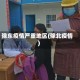豫东疫情严重地区(豫北疫情)