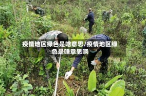 疫情地区绿色是啥意思/疫情地区绿色是啥意思啊