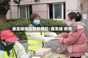盘龙城地区疫情防控/盘龙城 疫情