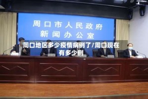 周口地区多少疫情病例了/周口现在有多少例