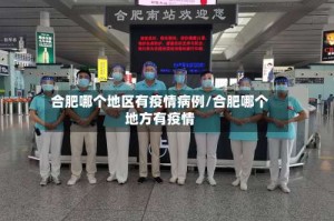 合肥哪个地区有疫情病例/合肥哪个地方有疫情