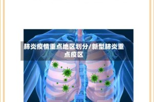 肺炎疫情重点地区划分/新型肺炎重点疫区
