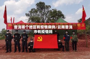 普洱哪个地区有疫情病例/云南普洱市有疫情吗