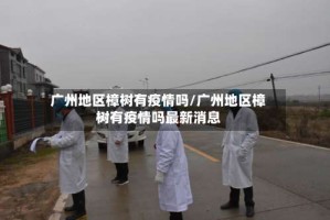 广州地区樟树有疫情吗/广州地区樟树有疫情吗最新消息