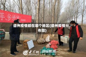 德州疫情都在哪个地区(德州疫情分布图)