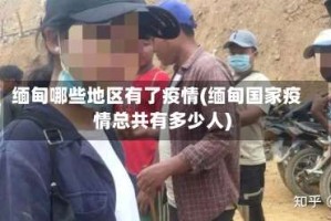 缅甸哪些地区有了疫情(缅甸国家疫情总共有多少人)
