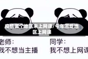 疫情哪个地区未上网课/今年哪些地区上网课