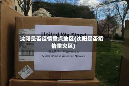 沈阳是否疫情重点地区(沈阳是否疫情重灾区)-第3张图片