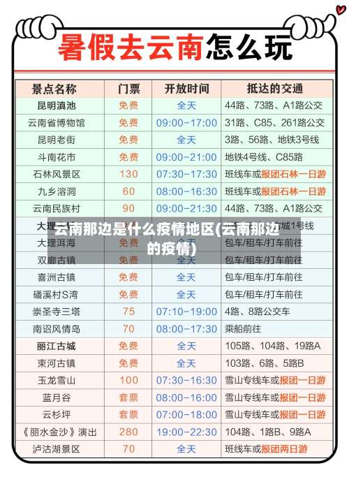 云南那边是什么疫情地区(云南那边的疫情)-第1张图片