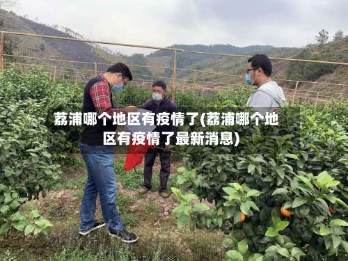 荔浦哪个地区有疫情了(荔浦哪个地区有疫情了最新消息)-第2张图片