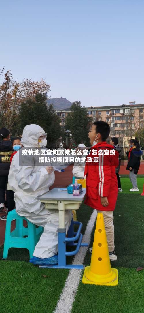 疫情地区查询政策怎么查/怎么查疫情防控期间目的地政策-第3张图片