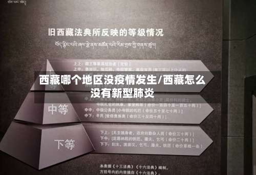 西藏哪个地区没疫情发生/西藏怎么没有新型肺炎-第2张图片