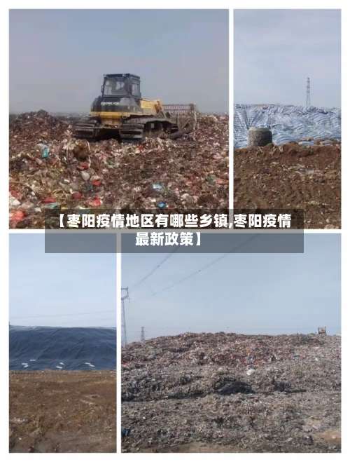 【枣阳疫情地区有哪些乡镇,枣阳疫情最新政策】-第2张图片