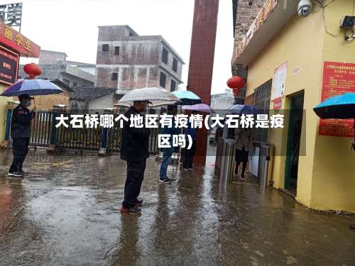 大石桥哪个地区有疫情(大石桥是疫区吗)-第1张图片