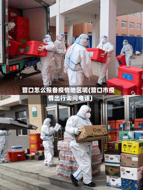 营口怎么报备疫情地区呢(营口市疫情出行询问电话)-第2张图片
