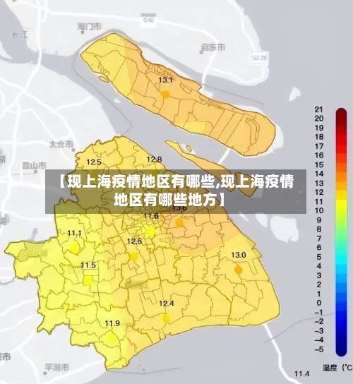 【现上海疫情地区有哪些,现上海疫情地区有哪些地方】-第2张图片