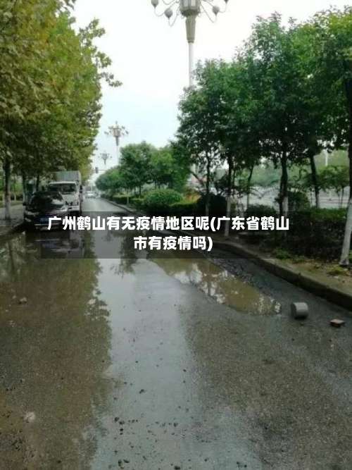 广州鹤山有无疫情地区呢(广东省鹤山市有疫情吗)-第1张图片