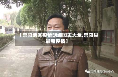 【崇阳地区疫情明细图表大全,崇阳县最新疫情】-第2张图片