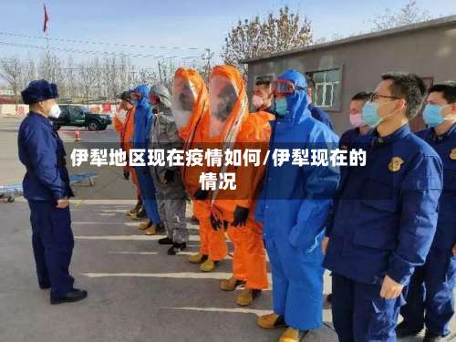 伊犁地区现在疫情如何/伊犁现在的情况-第2张图片