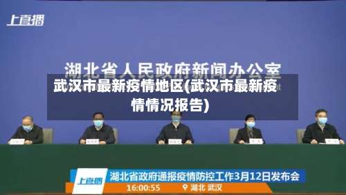 武汉市最新疫情地区(武汉市最新疫情情况报告)-第1张图片
