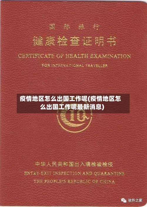 疫情地区怎么出国工作呢(疫情地区怎么出国工作呢最新消息)-第2张图片