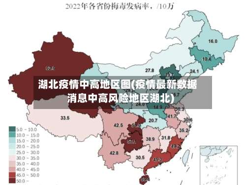 湖北疫情中高地区图(疫情最新数据消息中高风险地区湖北)-第2张图片