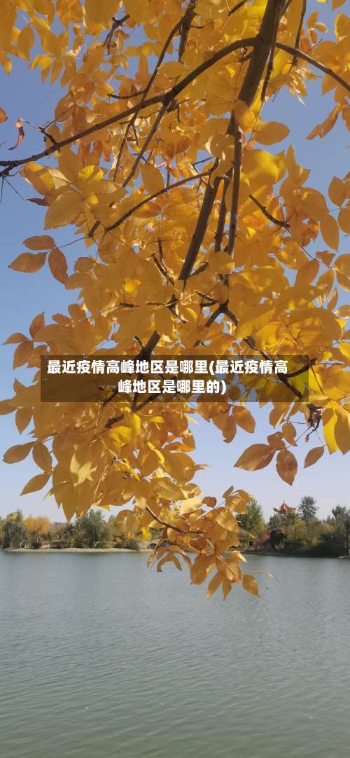 最近疫情高峰地区是哪里(最近疫情高峰地区是哪里的)-第2张图片