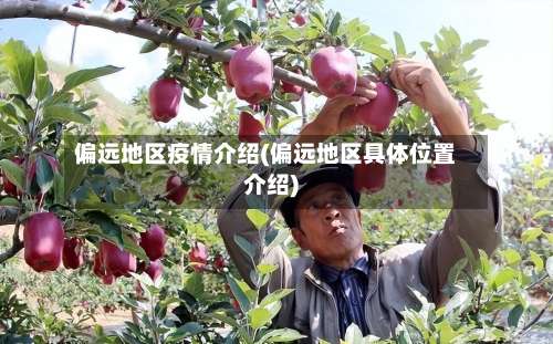 偏远地区疫情介绍(偏远地区具体位置介绍)-第1张图片