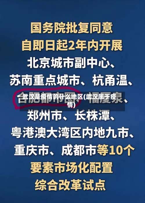 武汉是疫情的什么地区(武汉属于疫情)-第3张图片