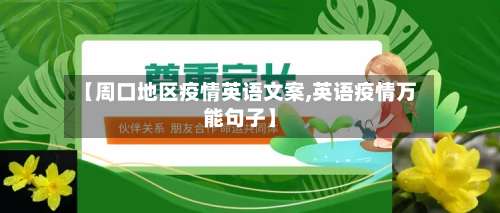 【周口地区疫情英语文案,英语疫情万能句子】-第1张图片