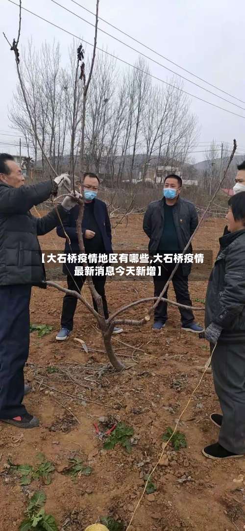 【大石桥疫情地区有哪些,大石桥疫情最新消息今天新增】-第2张图片