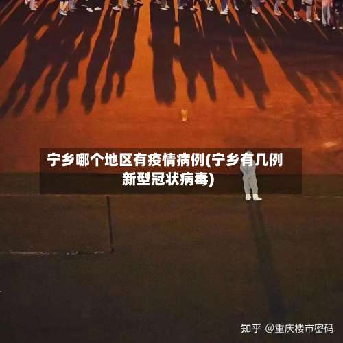 宁乡哪个地区有疫情病例(宁乡有几例新型冠状病毒)-第1张图片