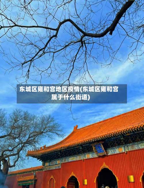 东城区雍和宫地区疫情(东城区雍和宫属于什么街道)-第3张图片