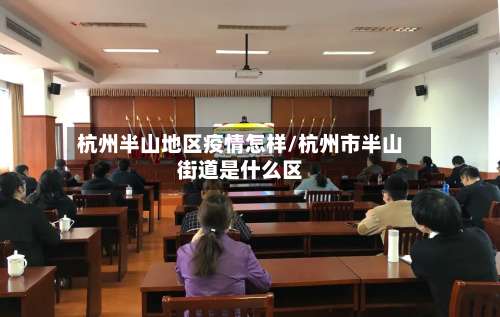 杭州半山地区疫情怎样/杭州市半山街道是什么区-第1张图片