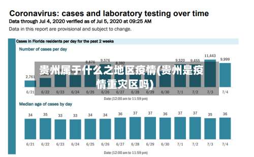 贵州属于什么之地区疫情(贵州是疫情重灾区吗)-第2张图片