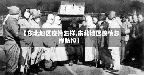 【东北地区疫情怎样,东北地区疫情怎样防控】-第2张图片