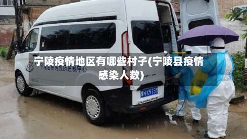 宁陵疫情地区有哪些村子(宁陵县疫情感染人数)-第3张图片