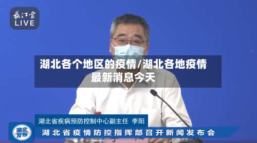 湖北各个地区的疫情/湖北各地疫情最新消息今天-第2张图片