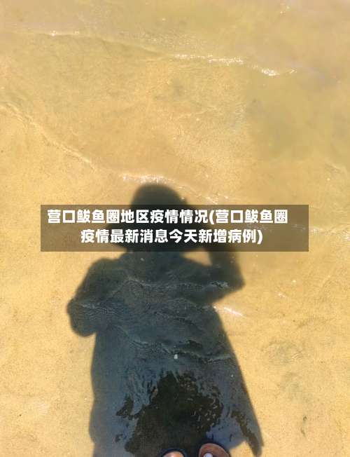 营口鲅鱼圈地区疫情情况(营口鲅鱼圈疫情最新消息今天新增病例)-第3张图片