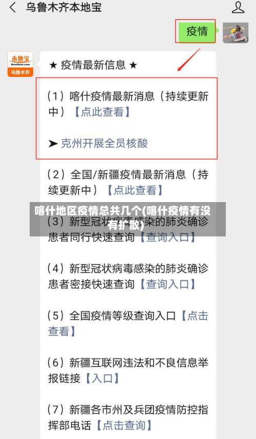 喀什地区疫情总共几个(喀什疫情有没有扩散)-第2张图片